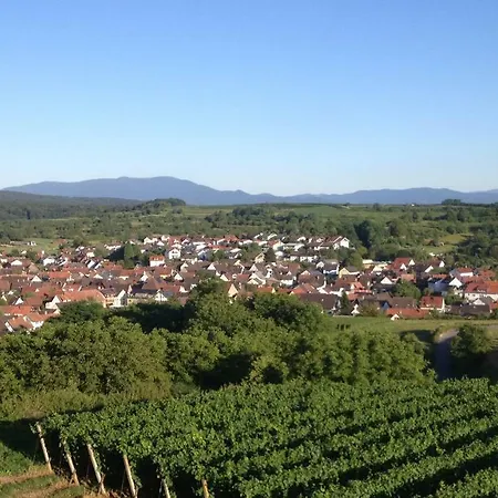 Apartment Elfriede - Wlan, 2 Baeder, Kueche, Freisitz, 2 Parkplaetze, Im Ortskern Malterdingen