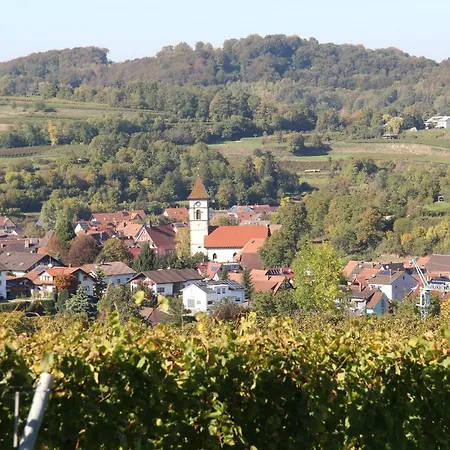 Elfriede - Wlan, 2 Baeder, Kueche, Freisitz, 2 Parkplaetze, Im Ortskern Apartment Malterdingen