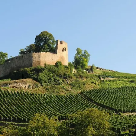 Elfriede - Wlan, 2 Baeder, Kueche, Freisitz, 2 Parkplaetze, Im Ortskern * Malterdingen