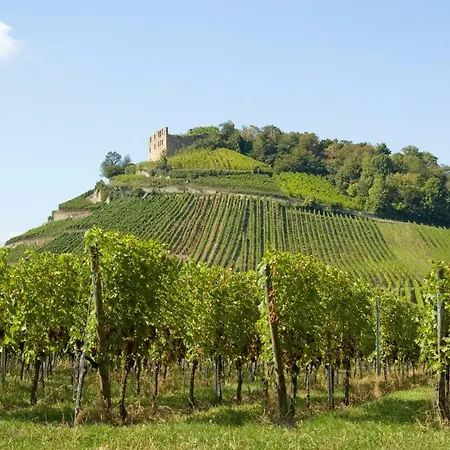 Elfriede - Wlan, 2 Baeder, Kueche, Freisitz, 2 Parkplaetze, Im Ortskern 아파트 말터딩엔