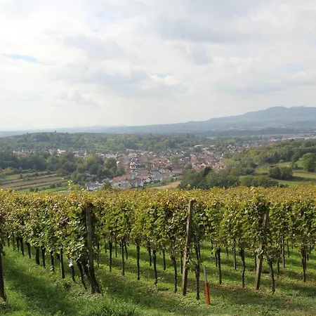 Elfriede - Wlan, 2 Bäder, Küche, Freisitz, 2 Parkplätze, Im Ortskern Malterdingen